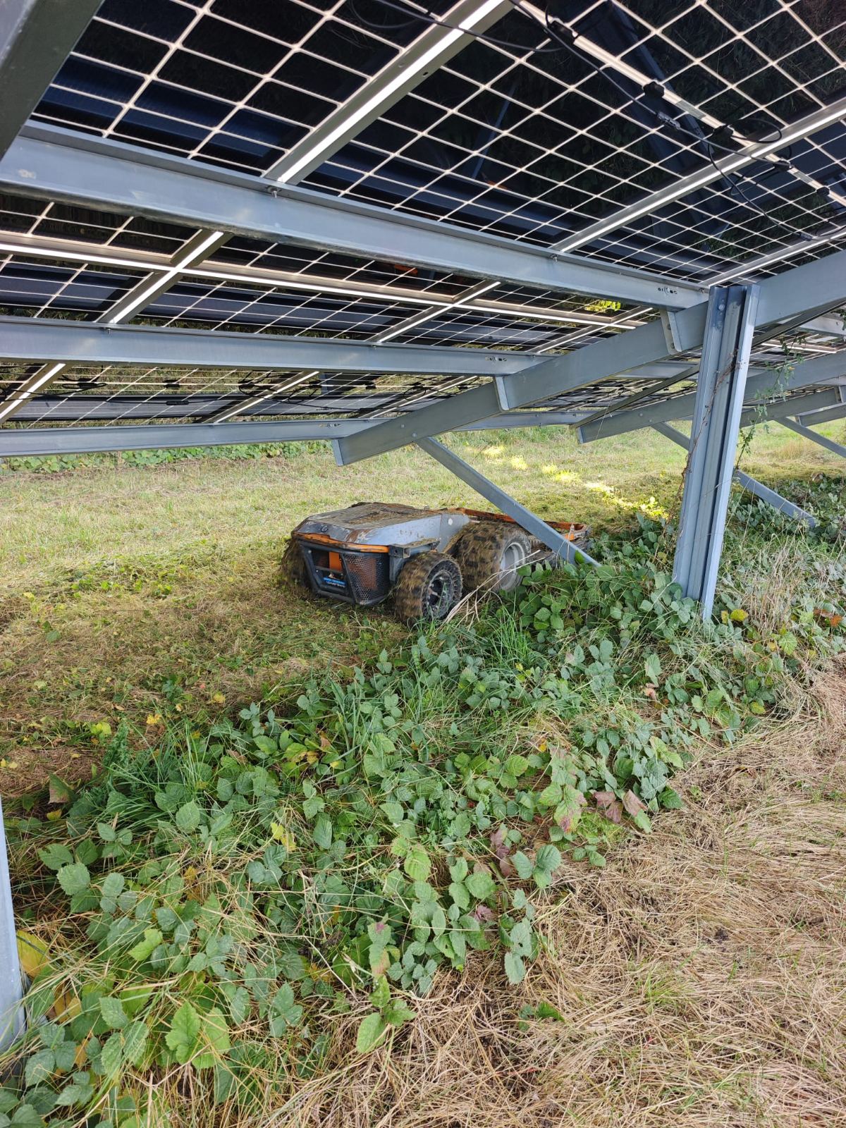Robot Raymo en action sous une centrale au sol